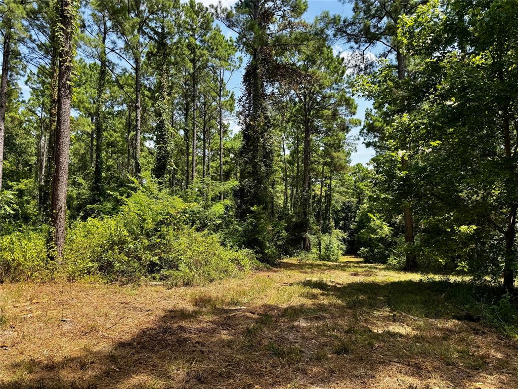 Lot 2 County Road 1240 Property Photo 11