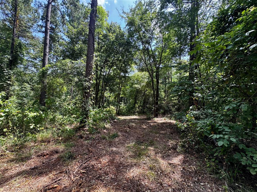 Lot 2 County Road 1240 Property Photo 15