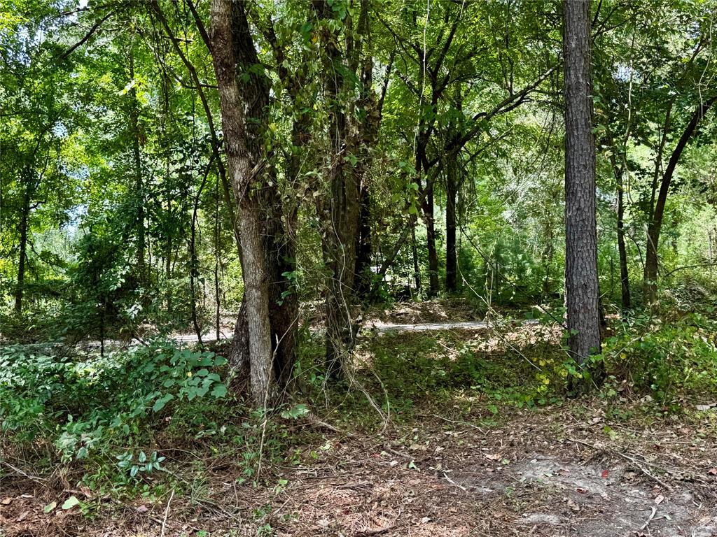 Lot 2 County Road 1240 Property Photo 17
