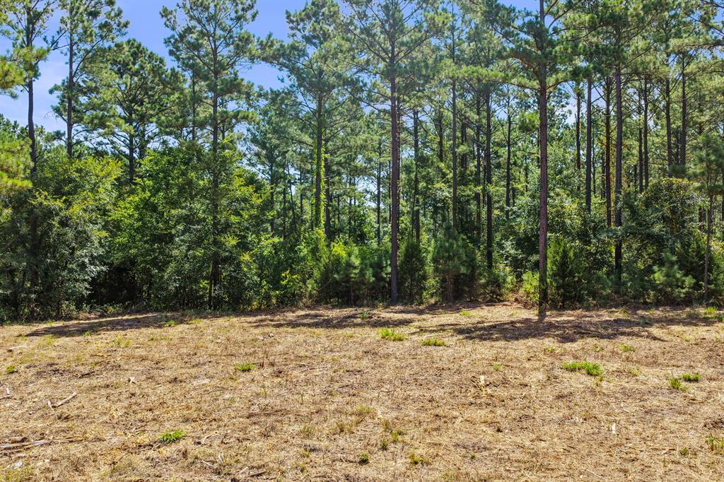 Lot 2 County Road 1240 Property Photo 18