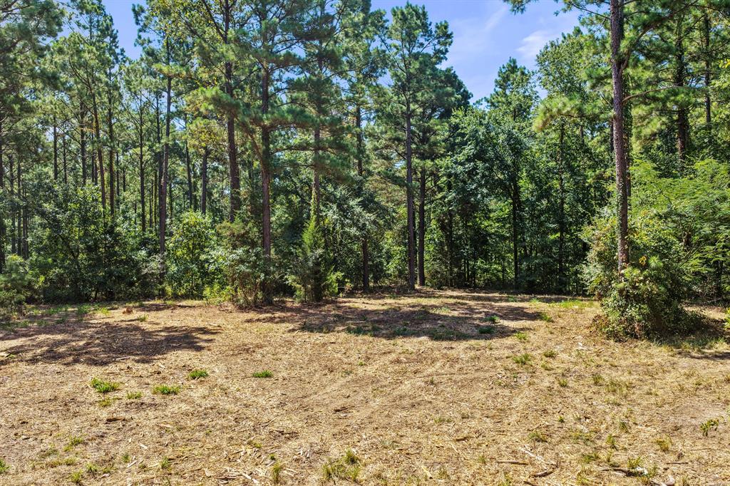Lot 2 County Road 1240 Property Photo 19