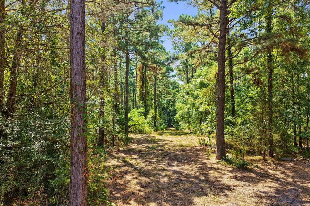 Lot 2 County Road 1240 Property Photo 20