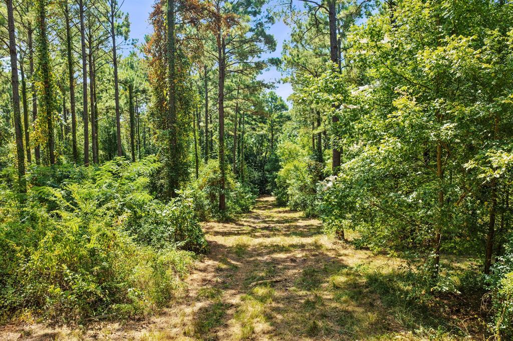 Lot 2 County Road 1240 Property Photo 22