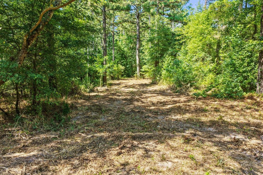 Lot 2 County Road 1240 Property Photo 23