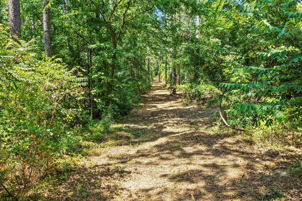Lot 2 County Road 1240 Property Photo 24