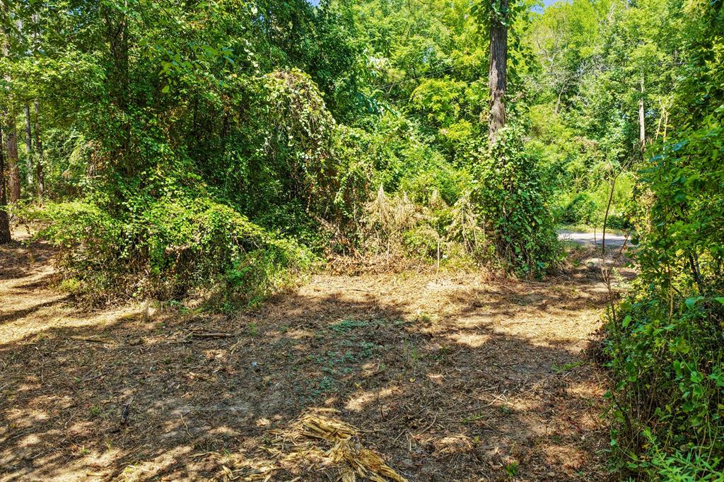 Lot 2 County Road 1240 Property Photo 25
