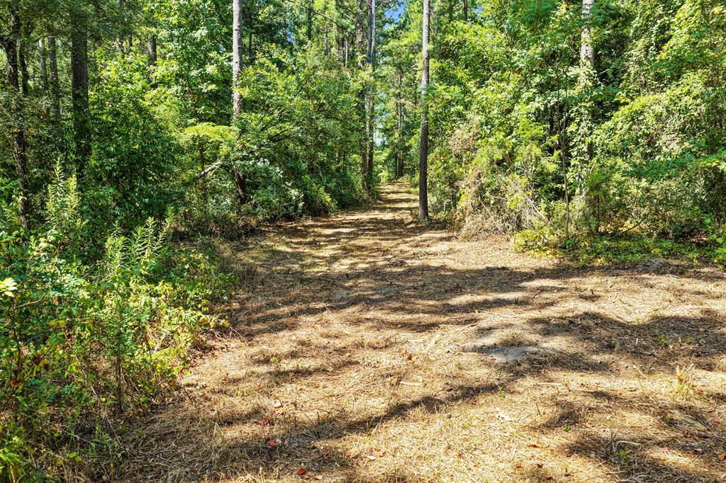 Lot 2 County Road 1240 Property Photo 26