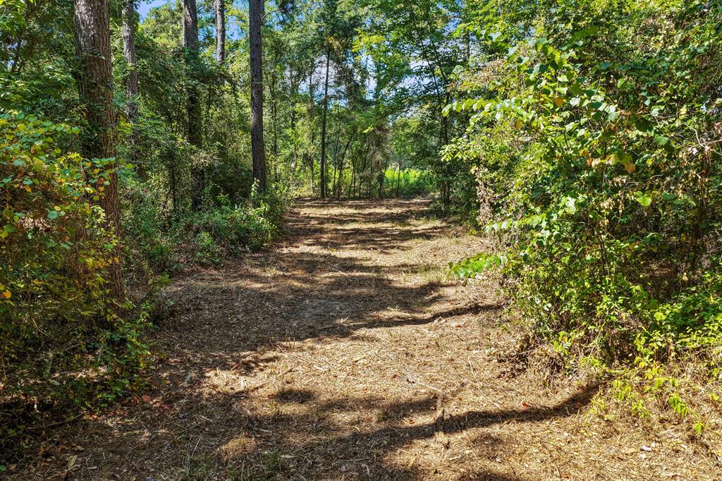 Lot 2 County Road 1240 Property Photo 27