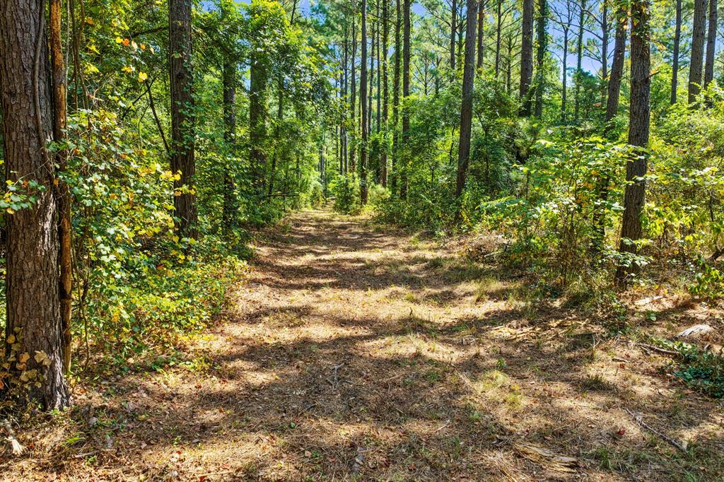 Lot 2 County Road 1240 Property Photo 28