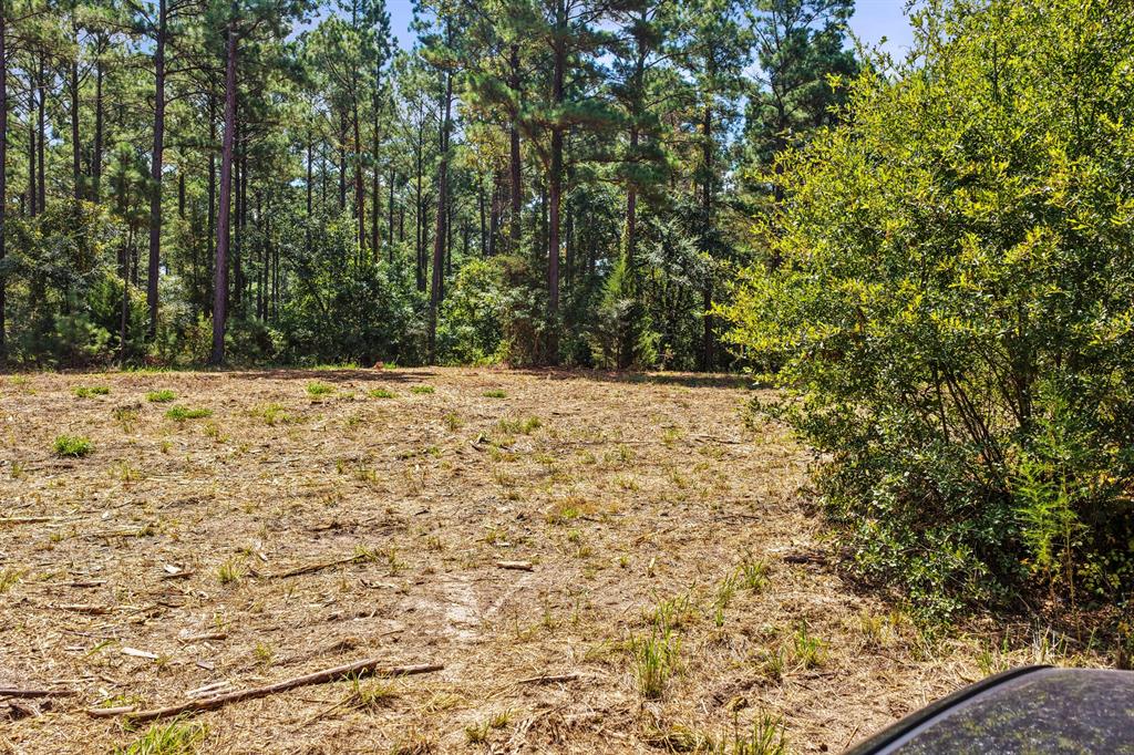Lot 2 County Road 1240 Property Photo 29