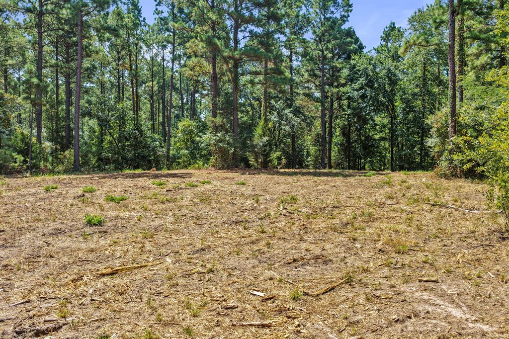 Lot 2 County Road 1240 Property Photo 30