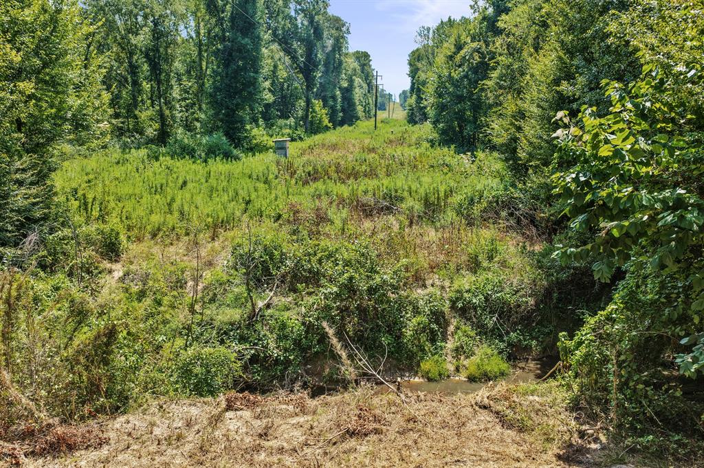 Lot 2 County Road 1240 Property Photo 31