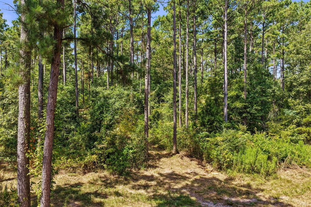 Lot 2 County Road 1240 Property Photo 33
