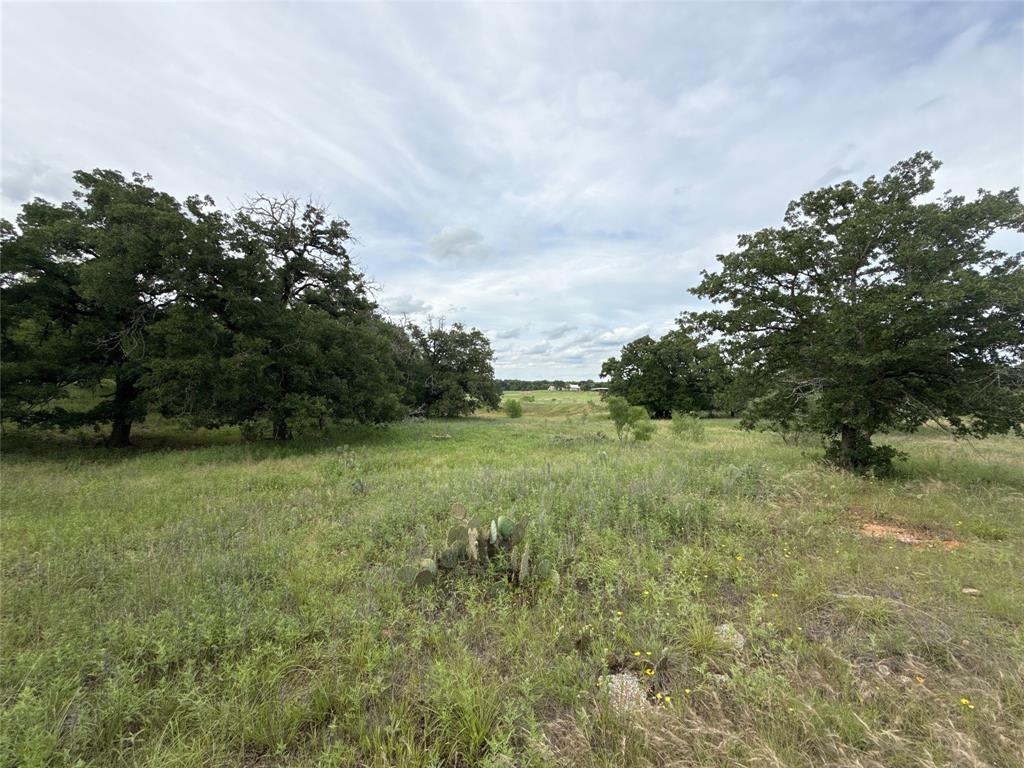 316 County Road 458 Property Photo 6