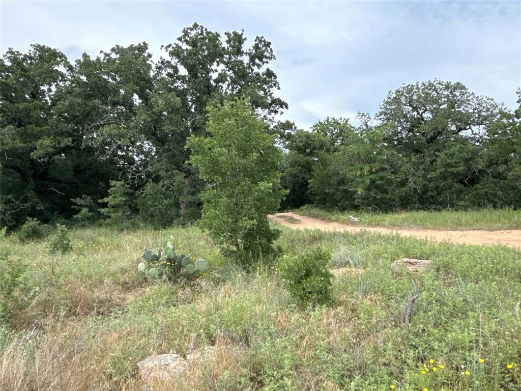 316 County Road 458 Property Photo 19