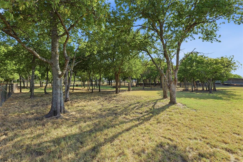 8033 Lax Drive Property Photo 13
