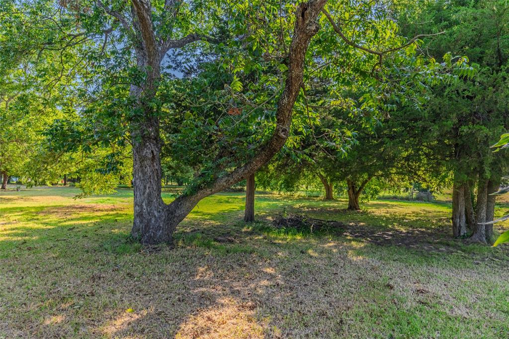 4666 Fm 1569 Property Photo 14