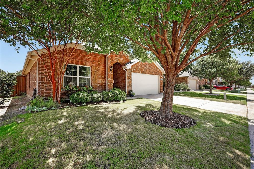 11820 Champion Creek Drive Property Photo 2