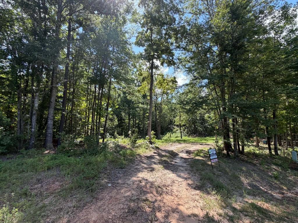 0 Bella Vista Property Photo 1