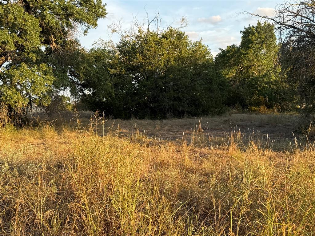 Tbd Cr 1526 Property Photo 4