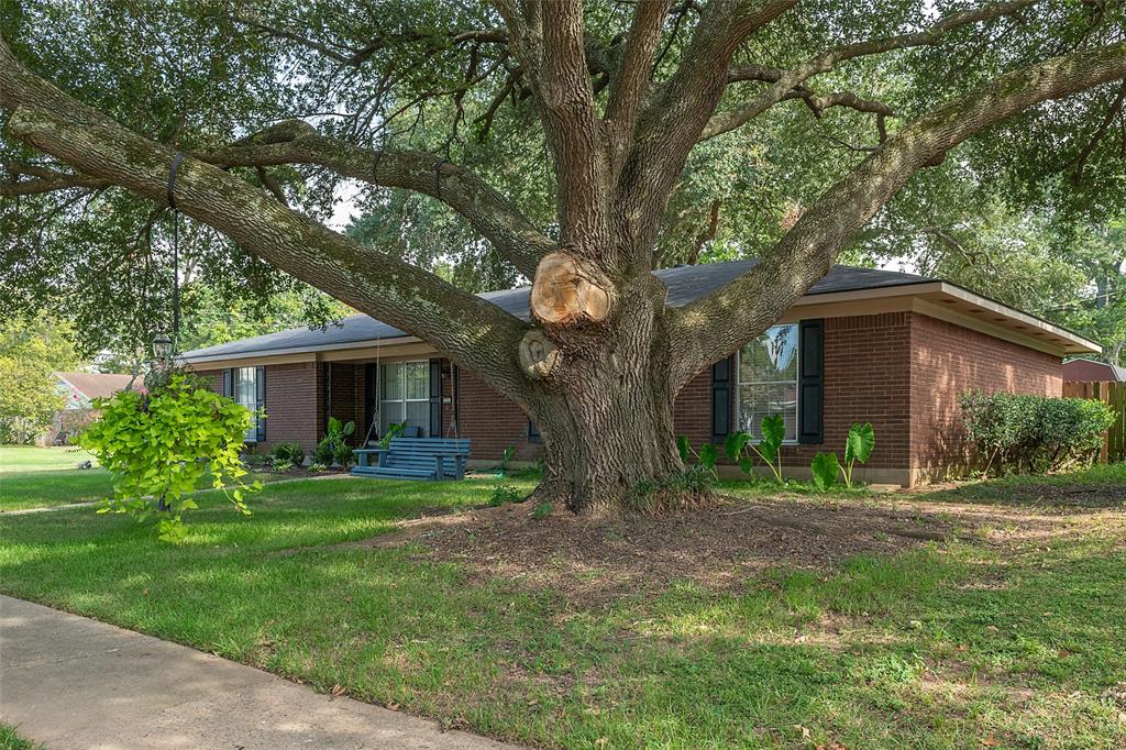 203 Schaub Drive Property Photo 23