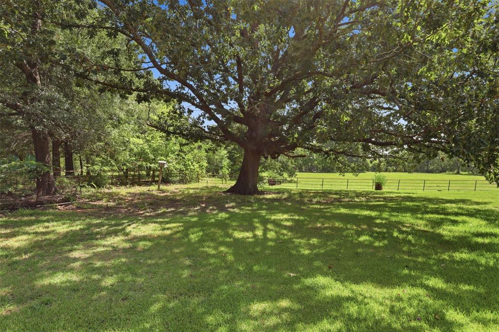 2868 State Highway 37 Property Photo 23