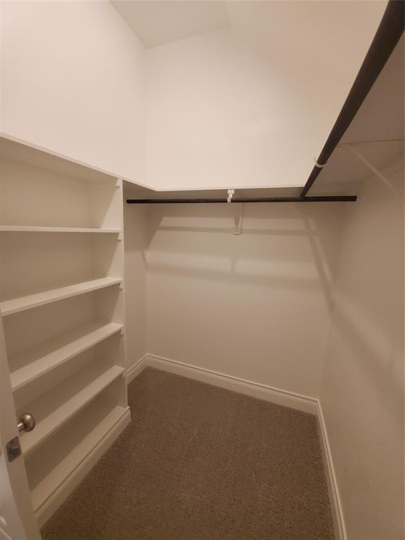 2321 Birdwell Cove Property Photo 11