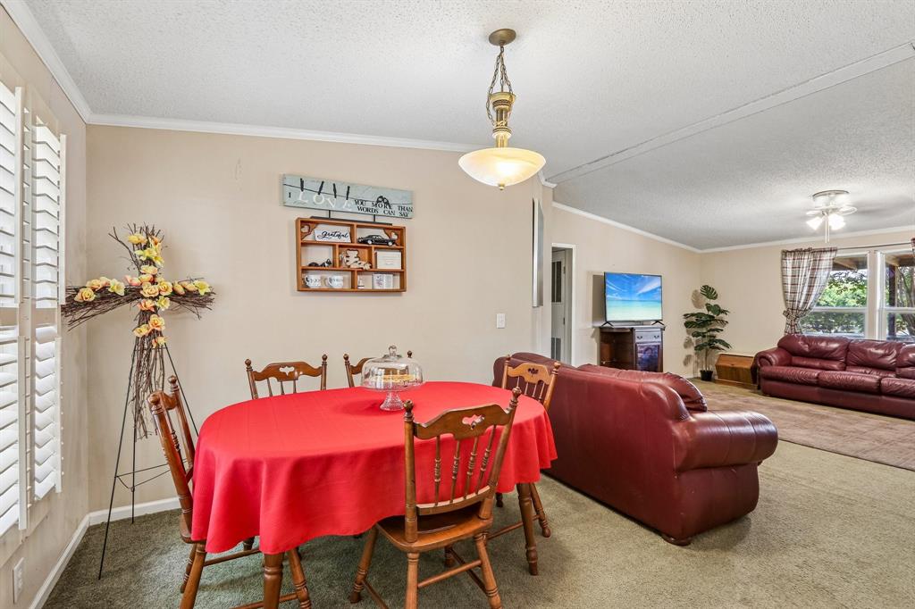 5433 State Highway 160 Property Photo 26