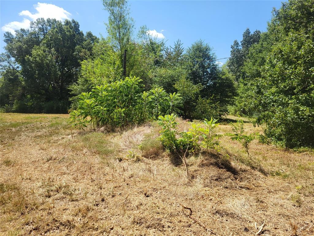 925 S Main Property Photo 3