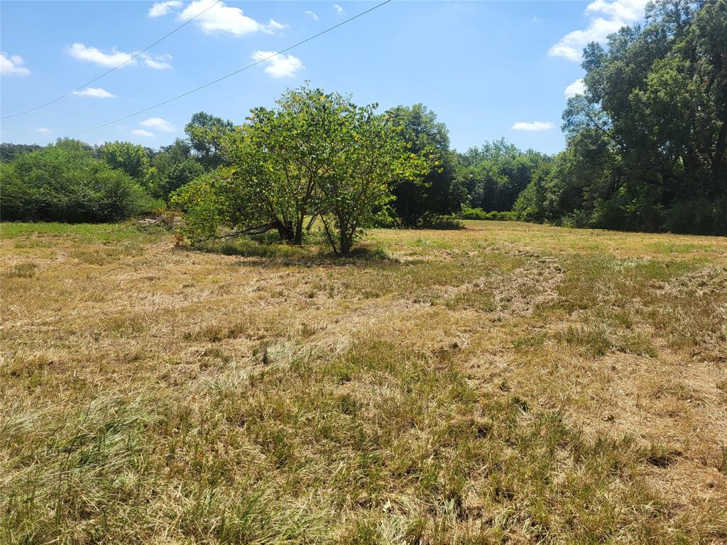 925 S Main Property Photo 4