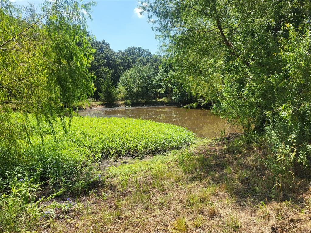925 S Main Property Photo 6