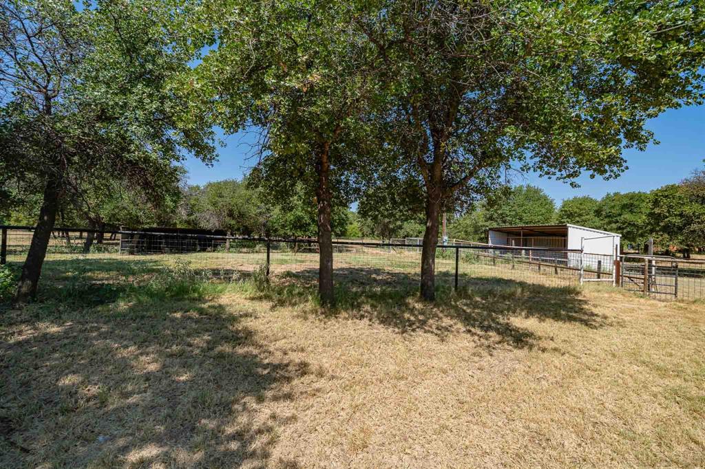 9545 Farm Road 1226 Property Photo 20