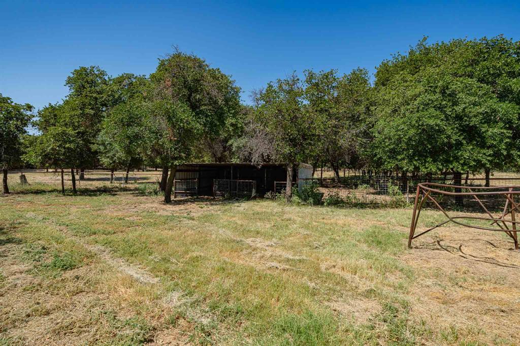 9545 Farm Road 1226 Property Photo 21