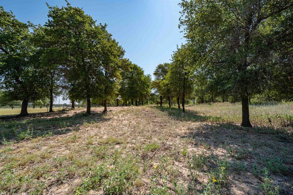 9545 Farm Road 1226 Property Photo 22