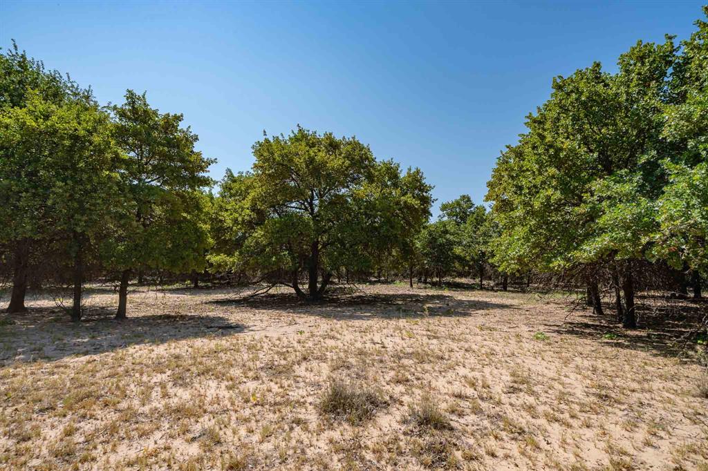 9545 Farm Road 1226 Property Photo 23