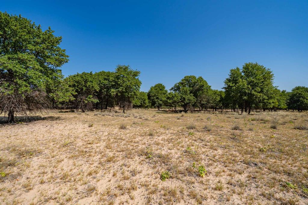 9545 Farm Road 1226 Property Photo 24