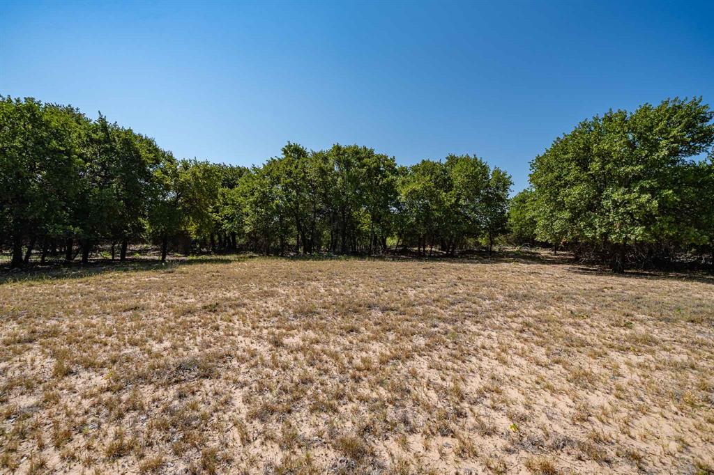 9545 Farm Road 1226 Property Photo 25