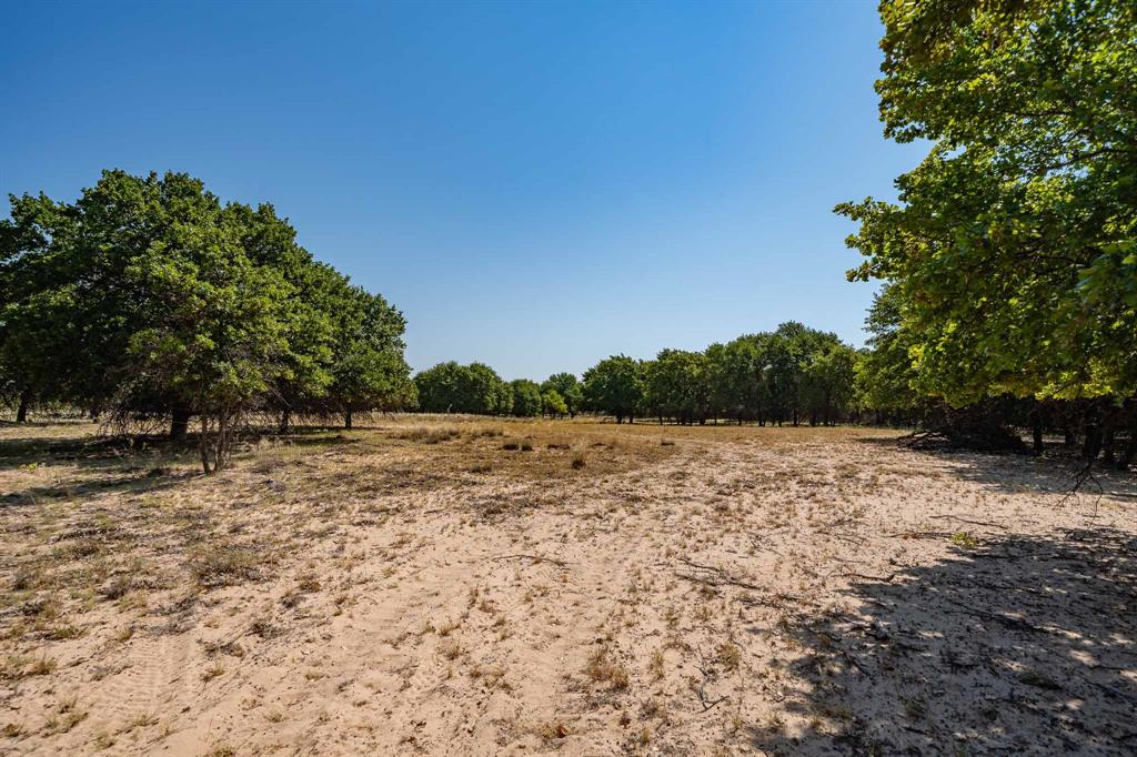 9545 Farm Road 1226 Property Photo 26