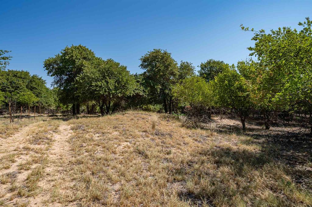9545 Farm Road 1226 Property Photo 27