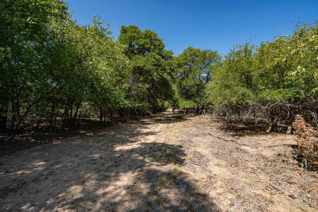 9545 Farm Road 1226 Property Photo 28