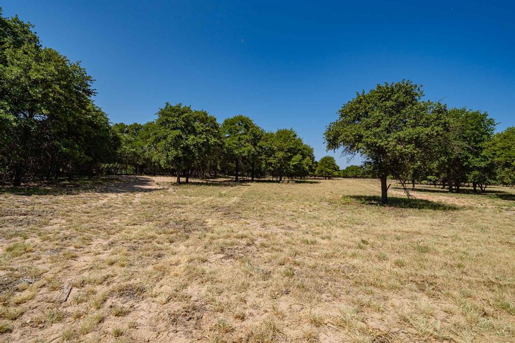 9545 Farm Road 1226 Property Photo 29