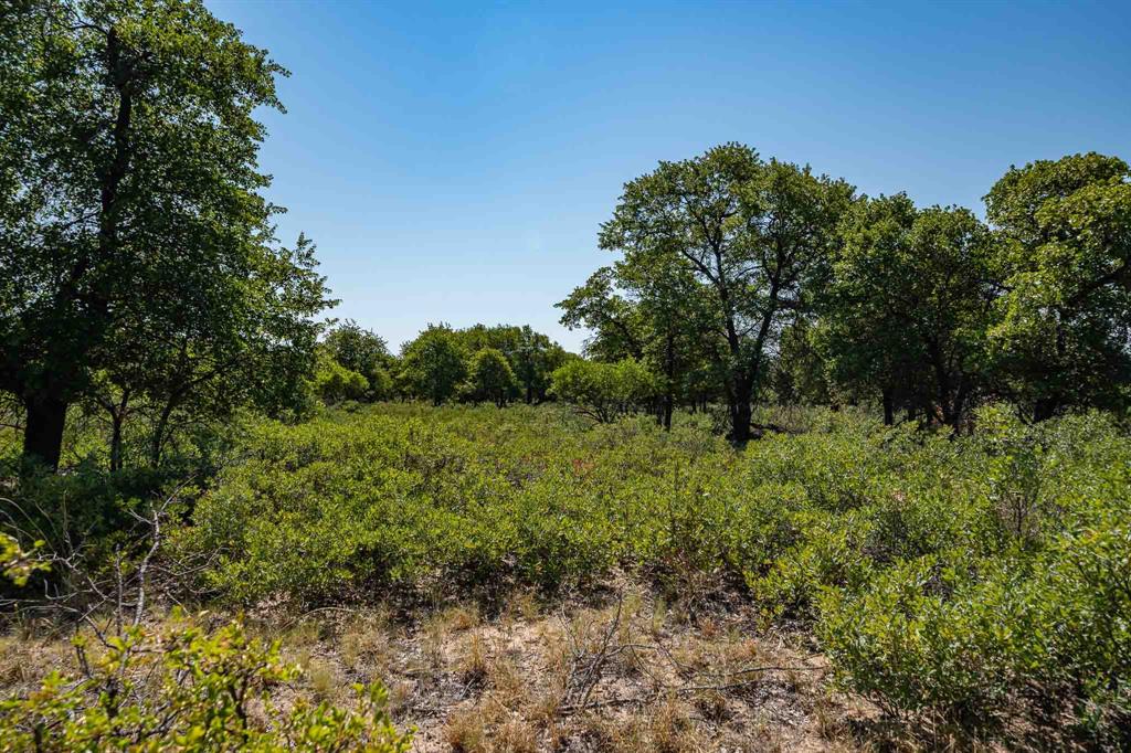 9545 Farm Road 1226 Property Photo 31