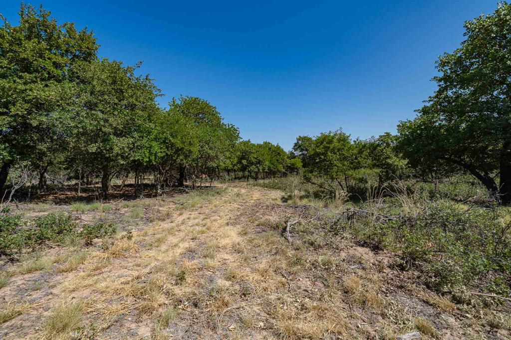 9545 Farm Road 1226 Property Photo 32