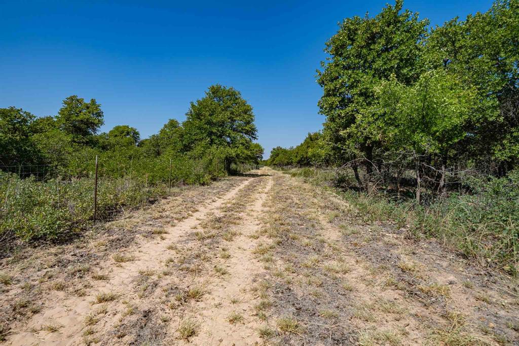 9545 Farm Road 1226 Property Photo 33