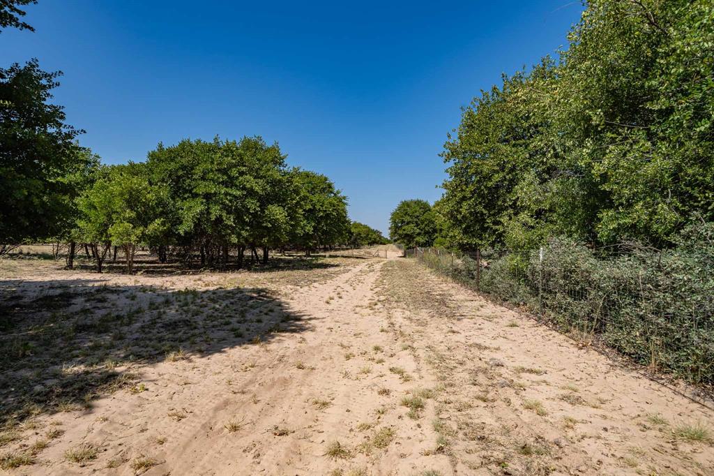 9545 Farm Road 1226 Property Photo 35