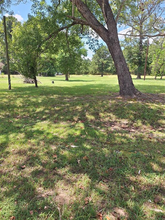 10659 Wesley Road Property Photo 4