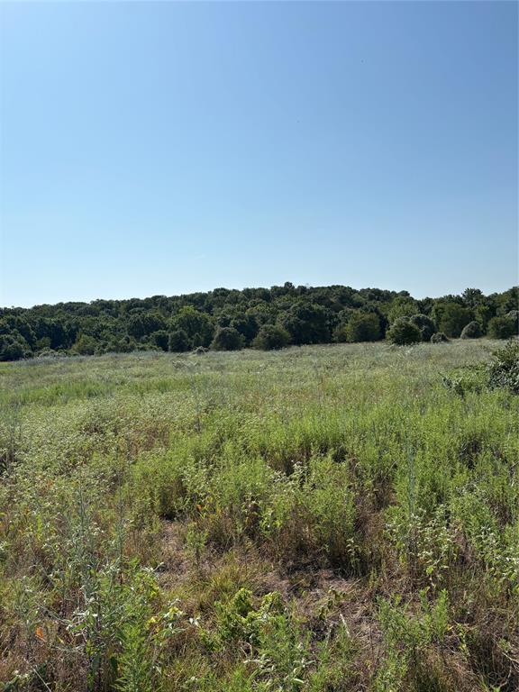 00 Gopher Property Photo 6