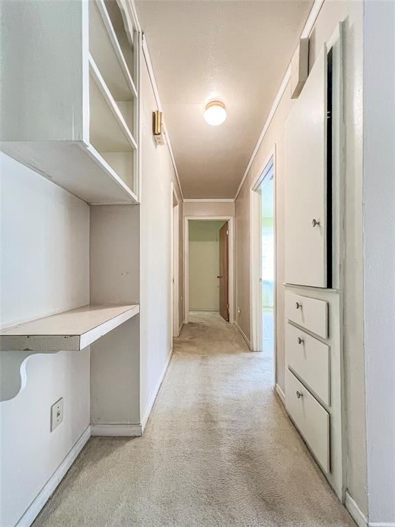 2706 Bois D Arc Street Property Photo 15
