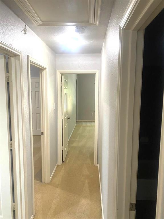 13372 Mannheim Drive Property Photo 9