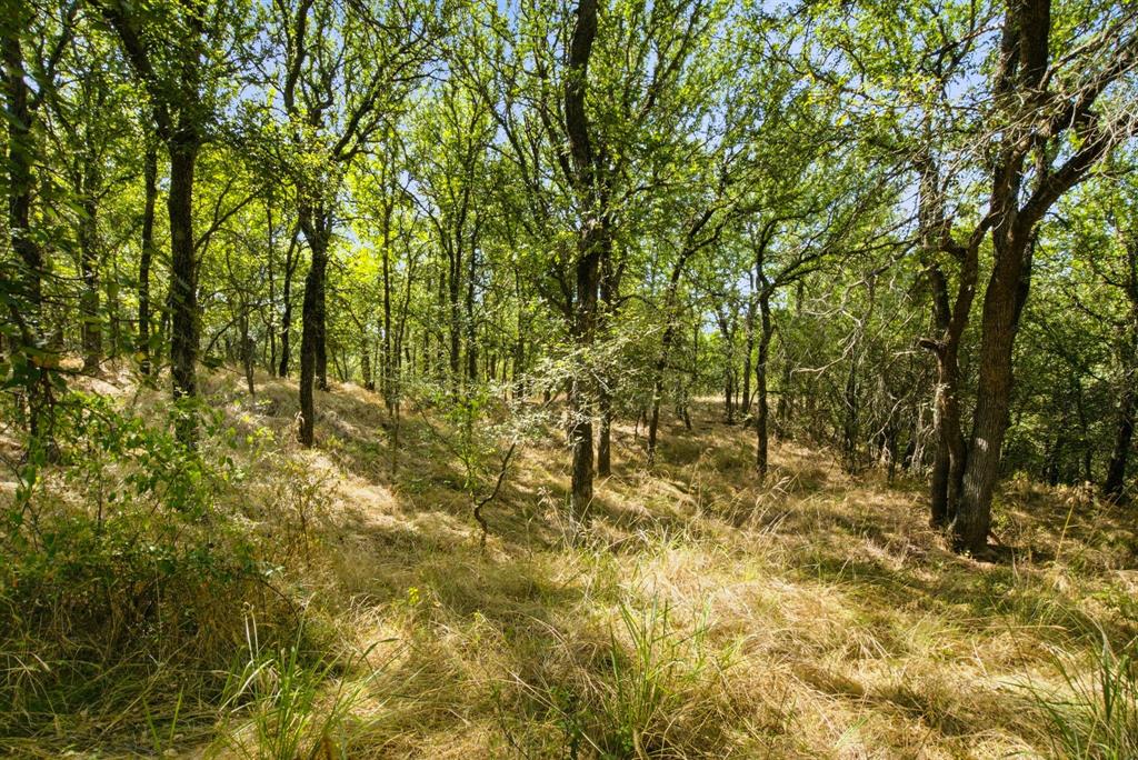 15075 Cr355 Property Photo 29